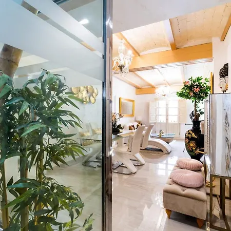 Apartamento Luxury Granada